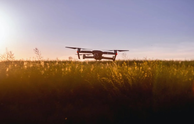 Inteligência artificial traz novas oportunidades para agricultura