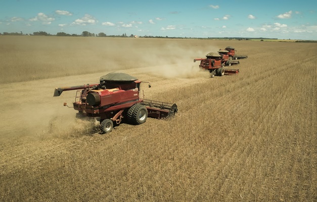 Goiás registra superávit de US$ 826 milhões na balança comercial de julho