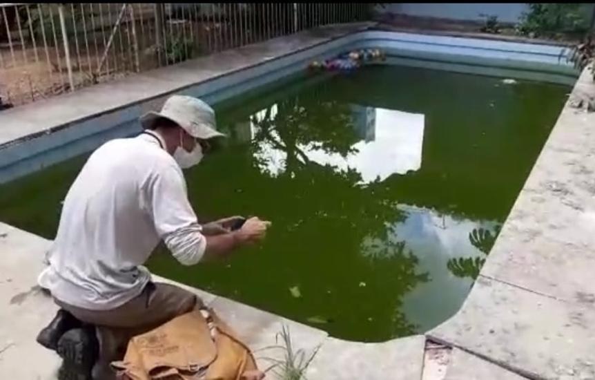 Prefeitura de Goiânia alerta para medidas de prevenção da dengue durante as férias