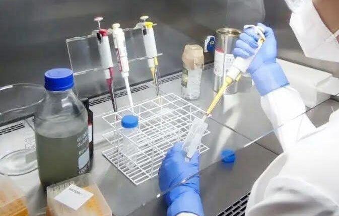 Governo de Goiás investe R$ 5 milhões em bolsas de excelência para doutorandos