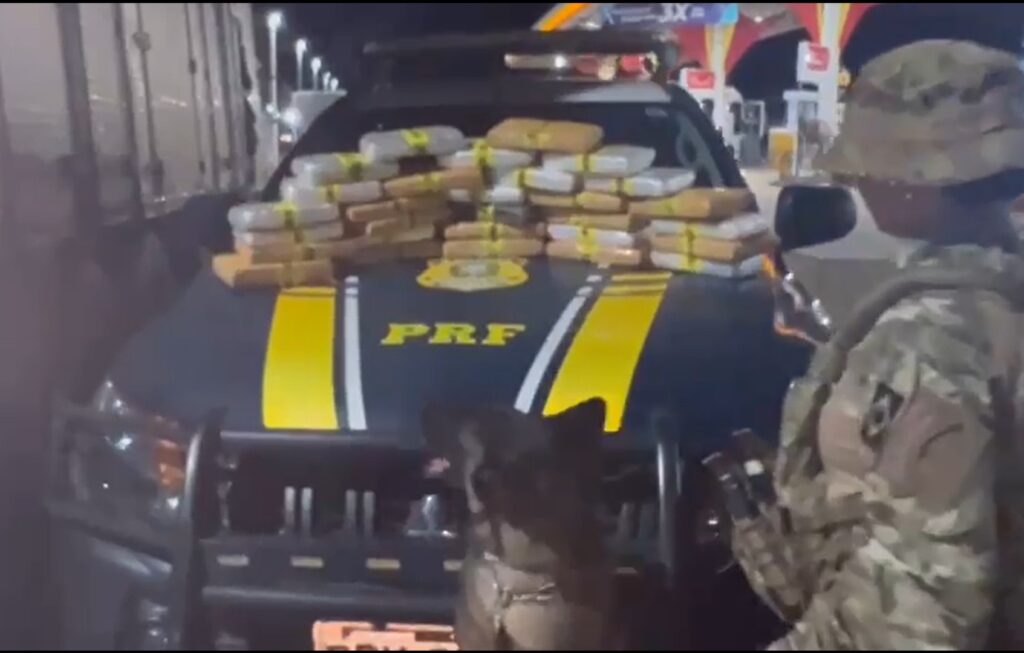 PRF apreende 30 Kg de skunk com ajuda de cães farejadores na GO-070