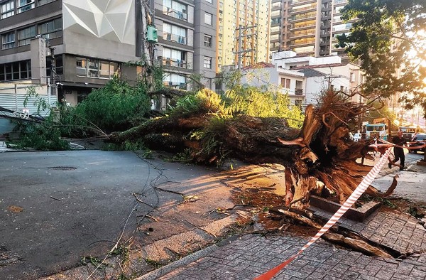 Dois dias após ciclone, SP ainda tem 800 mil moradores sem energia