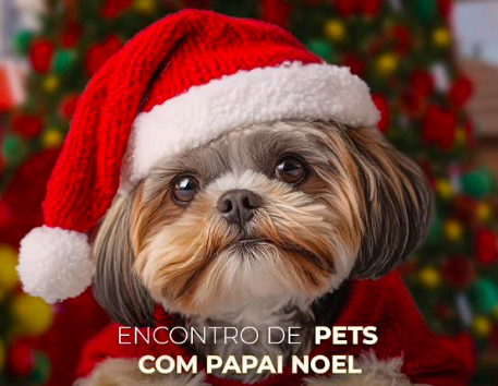 Encontro natalino reúne pets e Papai Noel em Aparecida de Goiânia