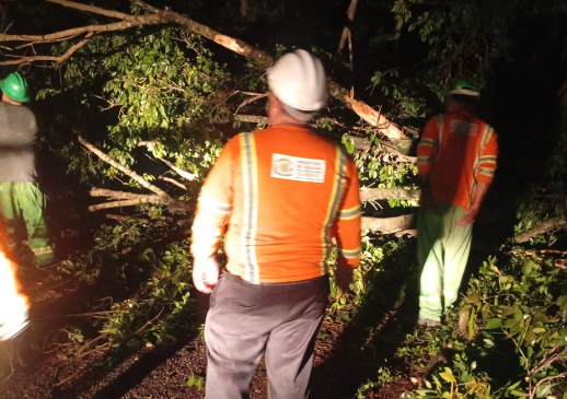 Temporal causa estragos em Goiânia