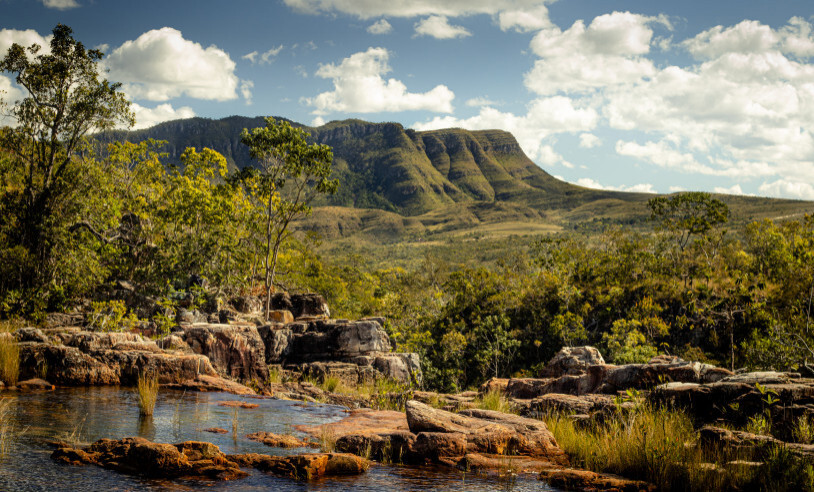 UFG e outras 18 universidades criam o Instituto Nacional do Cerrado