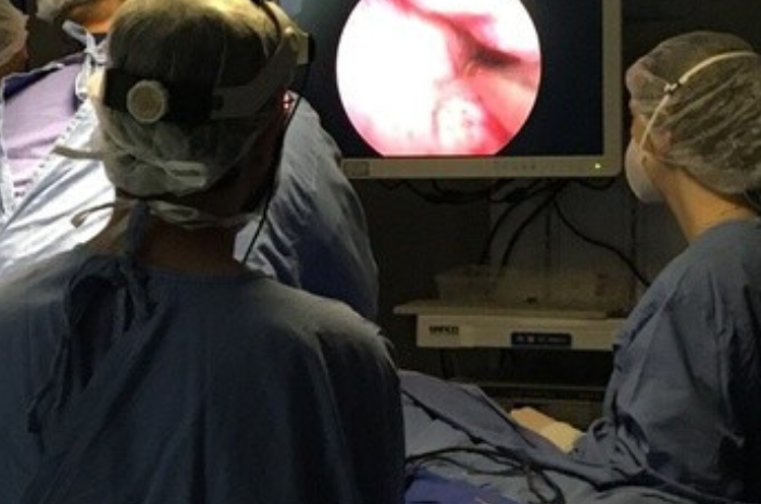 Técnicas cirúrgicas inéditas desenvolvidas no HC-UFG ganham destaque internacional