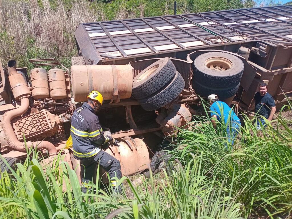 Carreta com carga de bovinos tomba na GO-446 em Posse