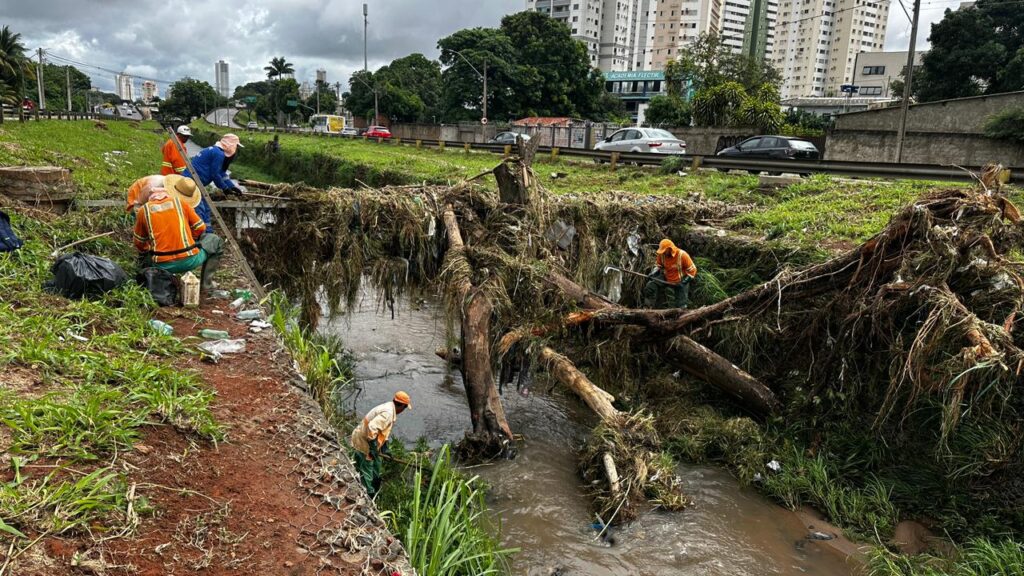 Prefeitura remove 60 toneladas de resíduos e desobstrui córregos após fortes chuvas em Goiânia