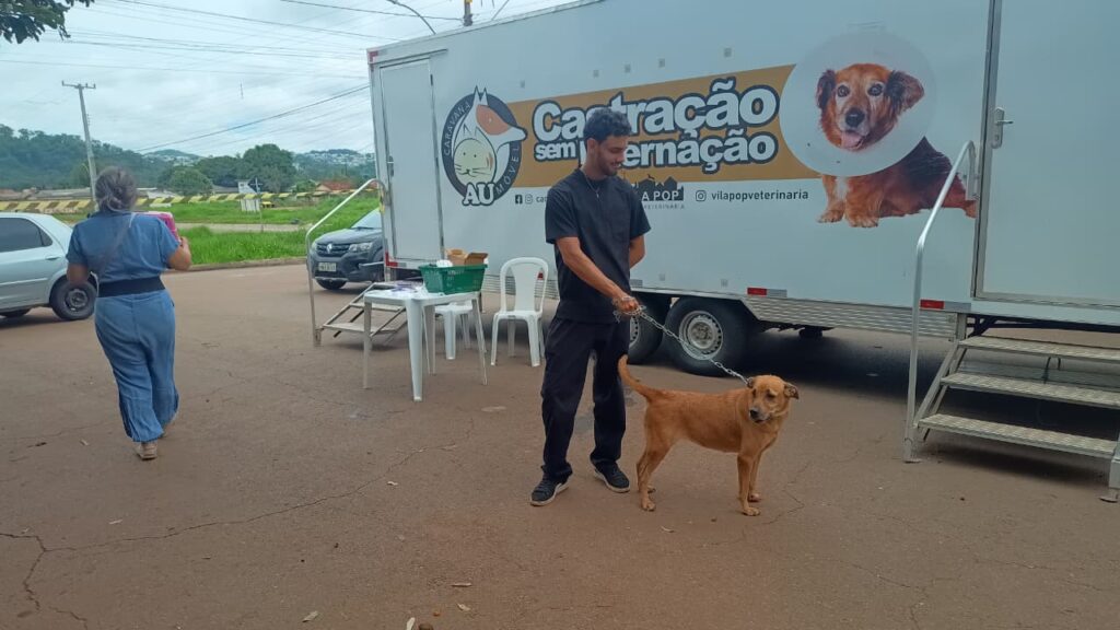 Prefeitura de Goiânia realiza castração gratuita de pets na Região Oeste