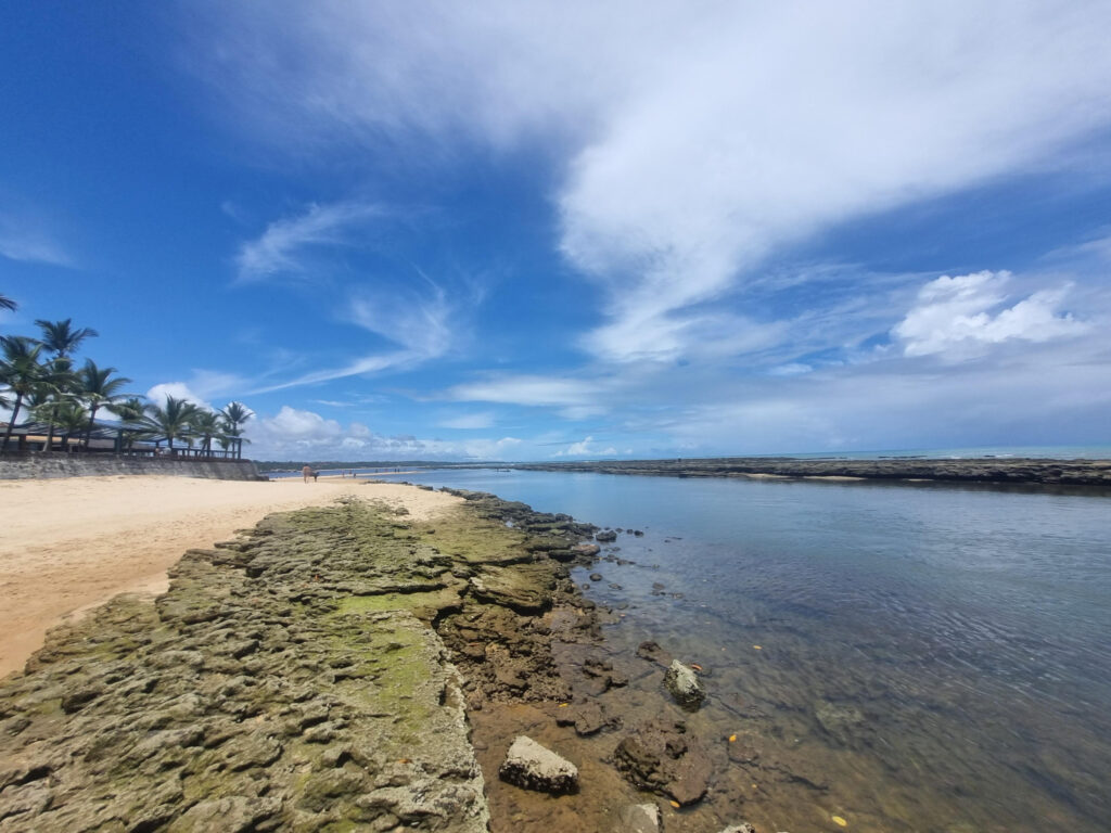 O Menino e o Mistério do Mundo