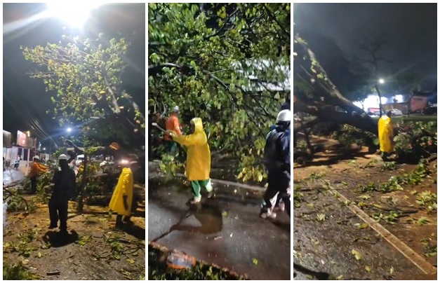 Equipes atuam na liberação de vias e limpeza após temporal em Goiânia