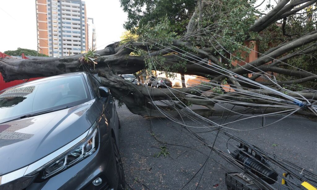 Cinco dias após ciclone, mais de 30 mil pessoas permanecem sem energia na Grande São Paulo
