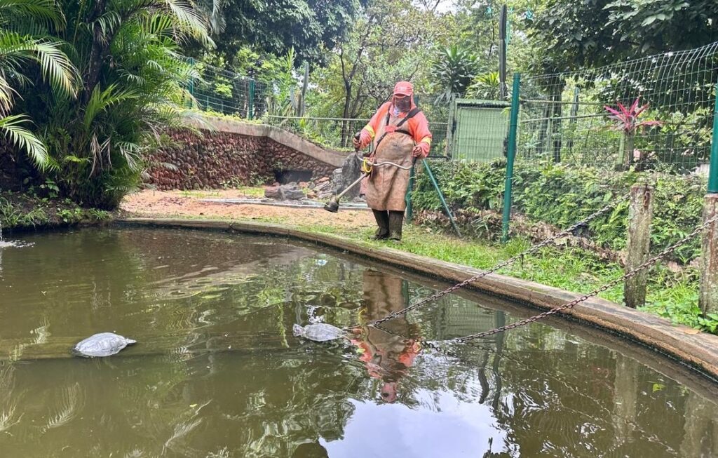 Comurg realiza operação de manutenção e limpeza no Zoológico de Goiânia