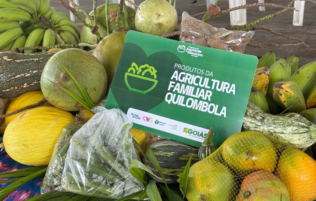 Governo de Goiás investiu mais de R$ 80 milhões na agricultura familiar em 2025