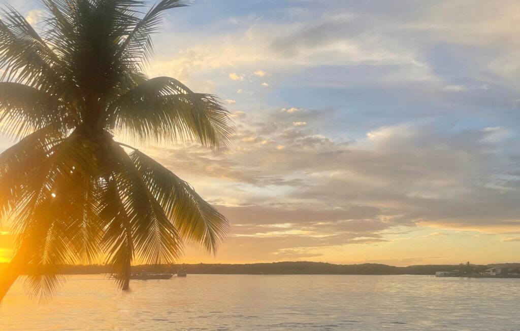 Fatos, filmes e ficções