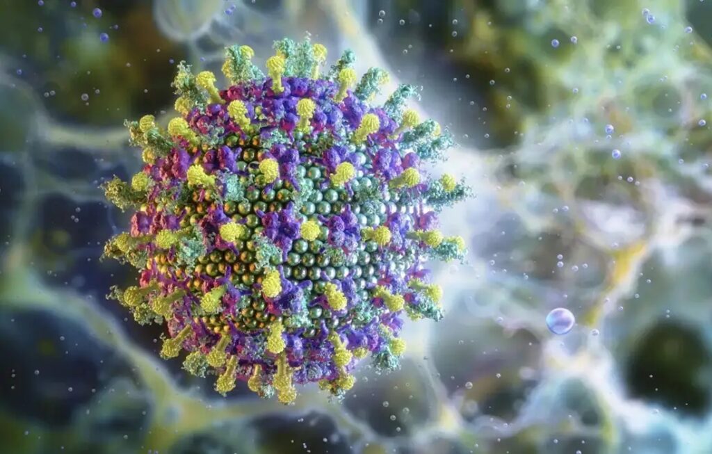 Ministério da Saúde diz que vírus Nipah não ameaça o Brasil