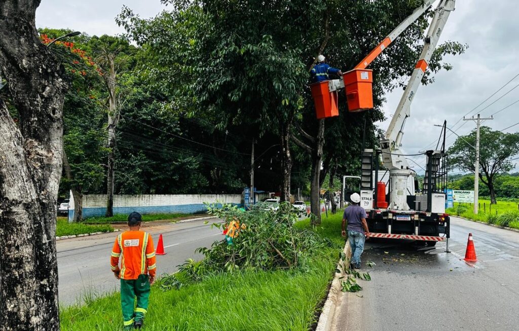 Prefeitura esclarece responsabilidades sobre poda de árvores em Goiânia