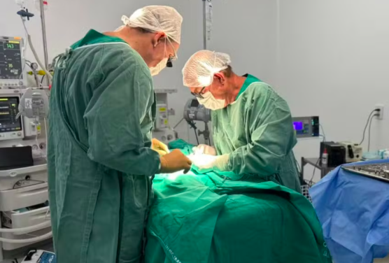 Gêmeos siameses morrem após quadro clínico grave em Goiânia