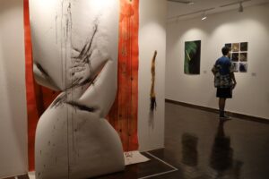 Exposição “Ichi-go Ichi-e” é prorrogada no Museu da Imagem e do Som de Goiás