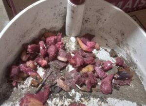 Homem é preso suspeito de envenenar gatos em Morrinhos