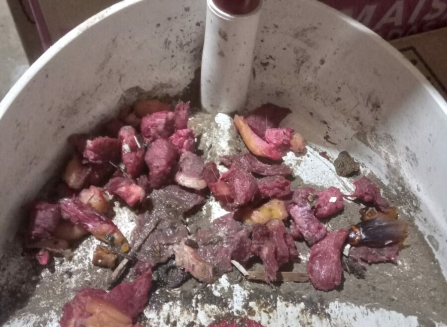 Homem é preso suspeito de envenenar gatos em Morrinhos