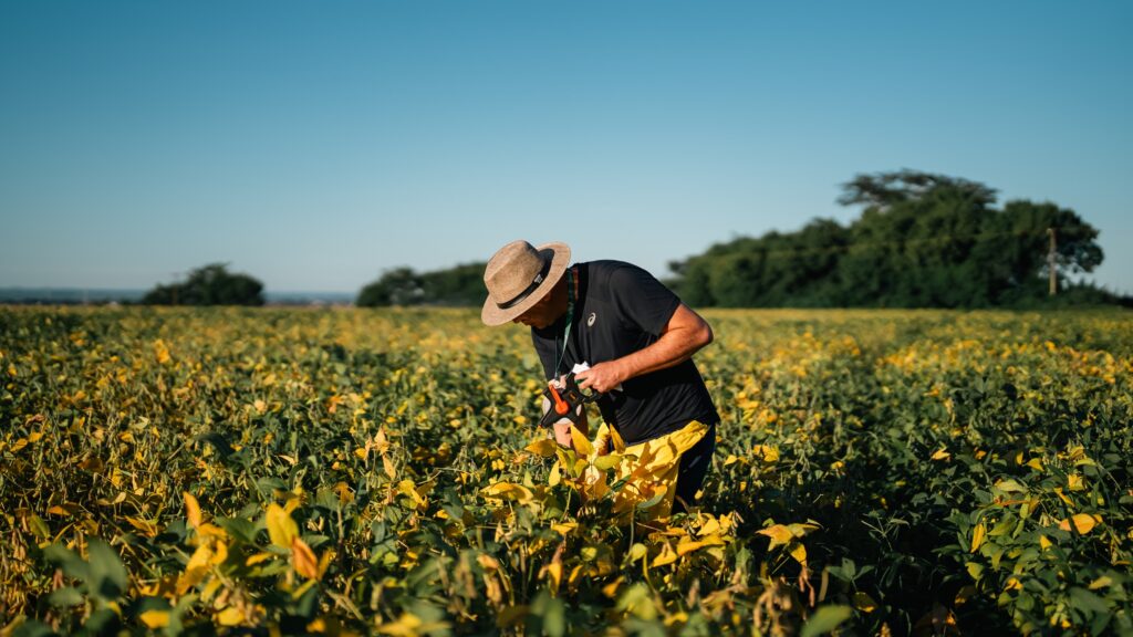 Expedição Safra 2025/26 percorre 30 municípios goianos para realizar levantamento agrícola do Estado