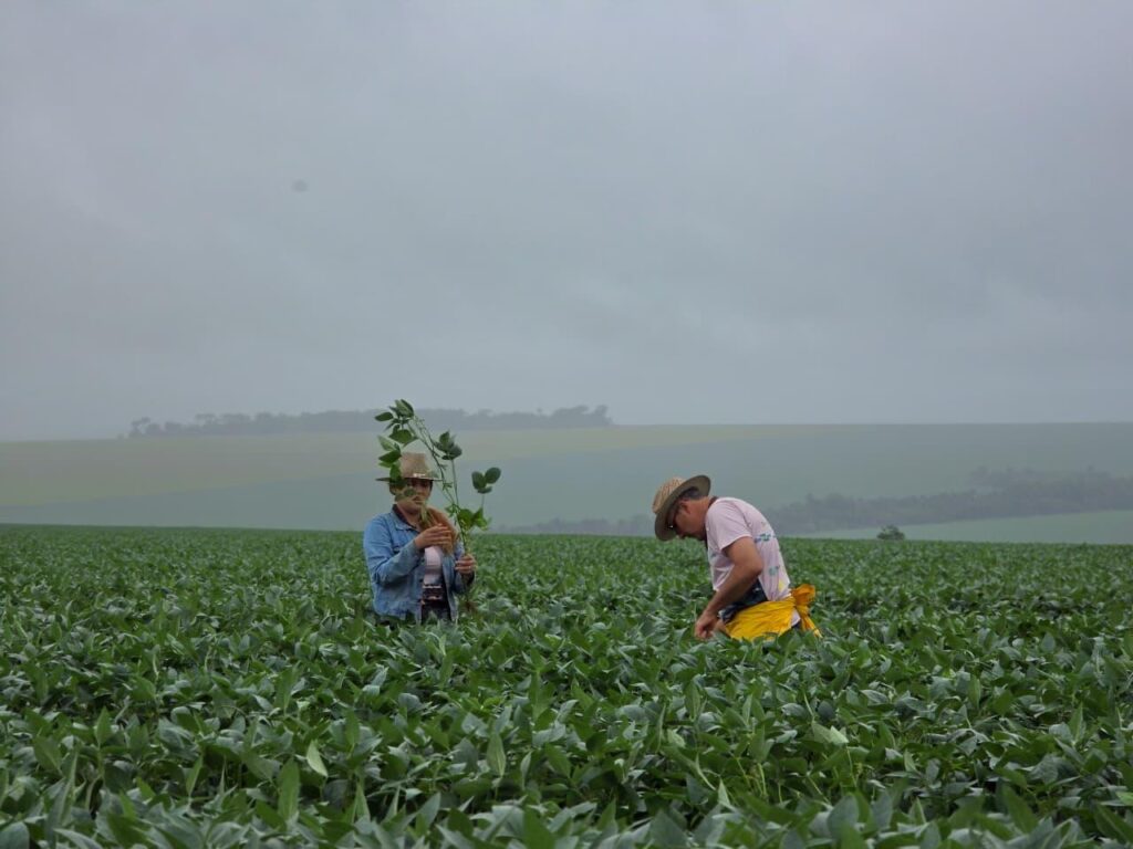 Expedição Safra: Atraso no plantio deve impactar produtividade da soja em Goiás