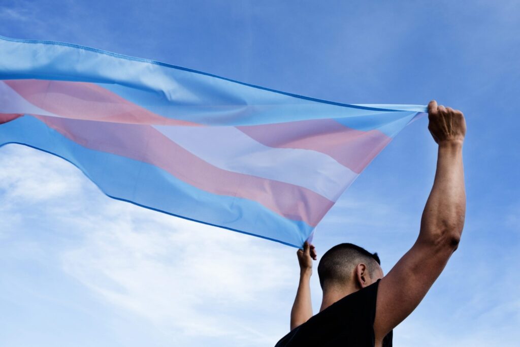 Bandeira trans (Foto: reprodução)