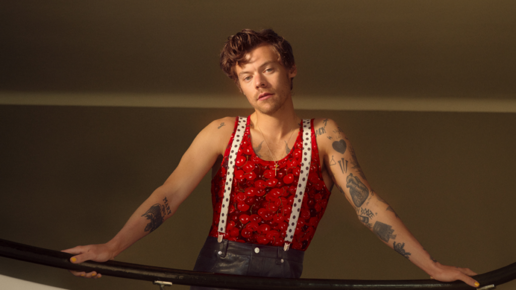 Harry Styles (Foto: divulgação)