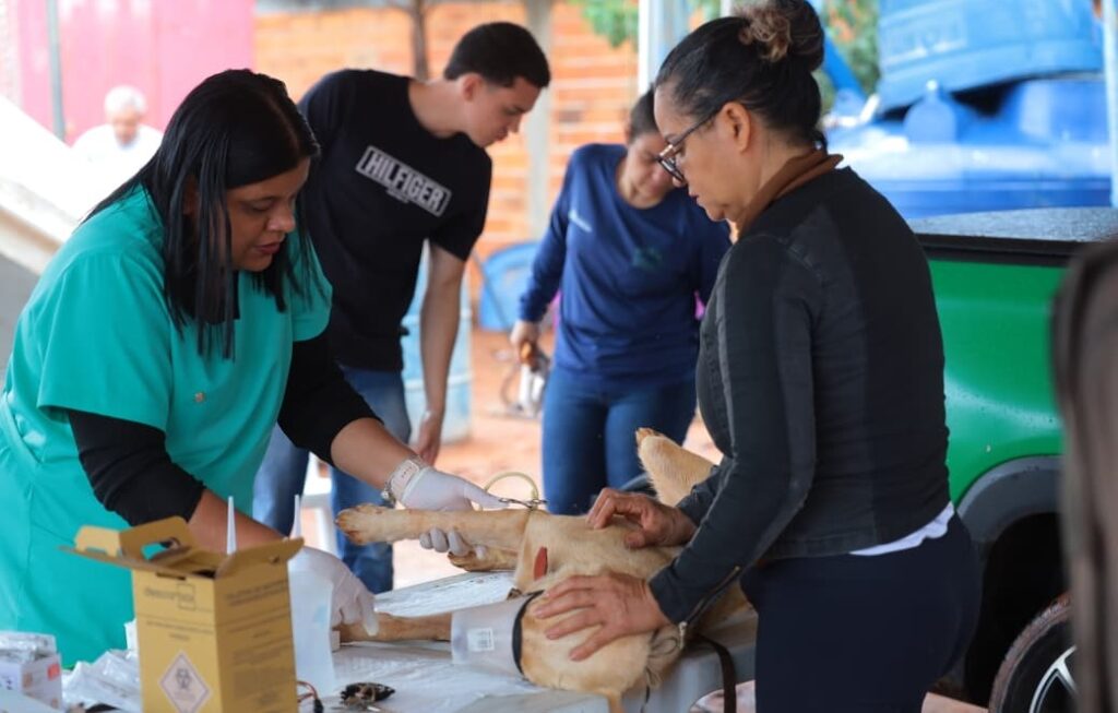 Assentamento Alto da Boa Vista recebe serviços de castração gratuita e vacinação antirrábica