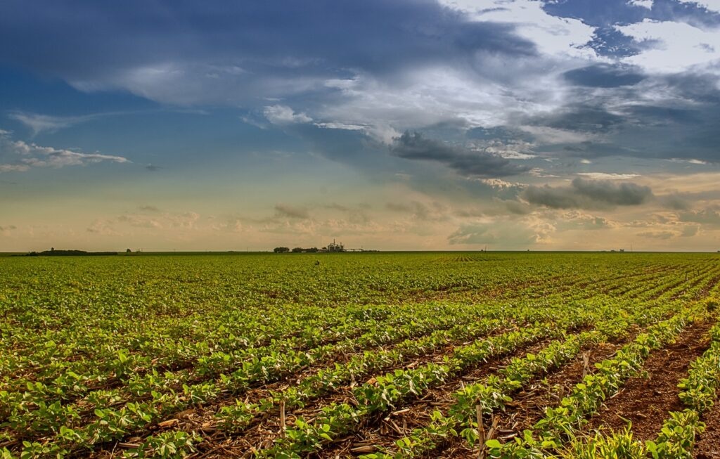 Revogação da taxa do agro abre debate sobre efeitos jurídicos dos valores já recolhidos