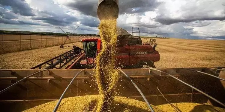 BNDES aprova R$ 7,5 bilhões para renegociações de dívidas de produtores rurais