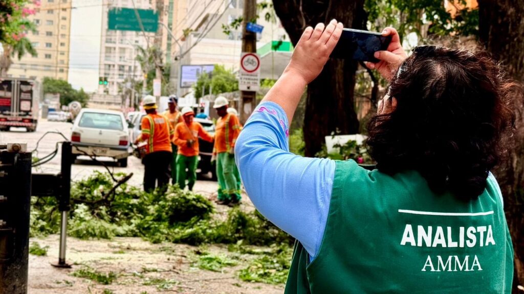Comurg inicia substituição arbórea mirando segurança para trios elétricos do pré-carnaval em Goiânia
