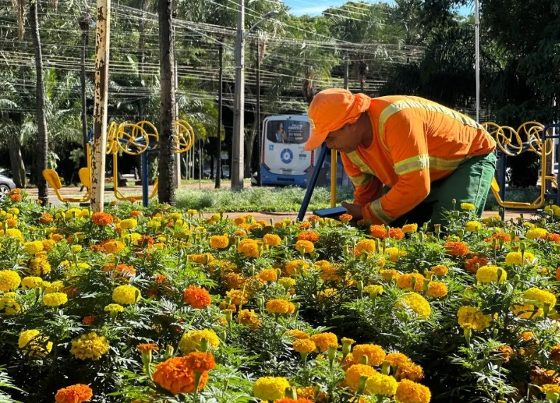 Comurg revitaliza praças e avenidas de Goiânia com o plantio de mais de 80 mil mudas ornamentais (foto: Luciano Magalhães)