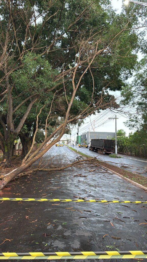 Temporais colocam 43 municípios de Goiás em alerta para chuva forte e ventos de até 65 km/h