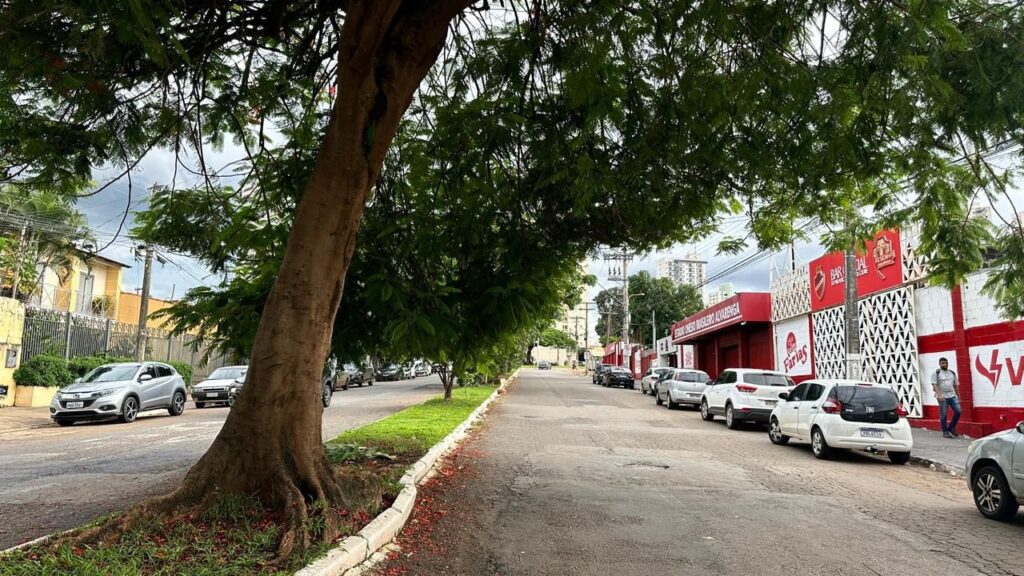 Prefeitura inicia substituição de árvores para requalificação da Rua 256 em Goiânia 