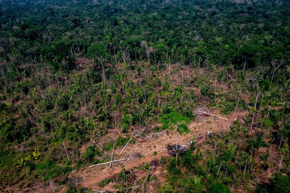 Alertas de desmatamento caem 35% na Amazônia e 6% no Cerrado