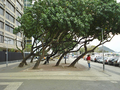 Uma crônica carioca