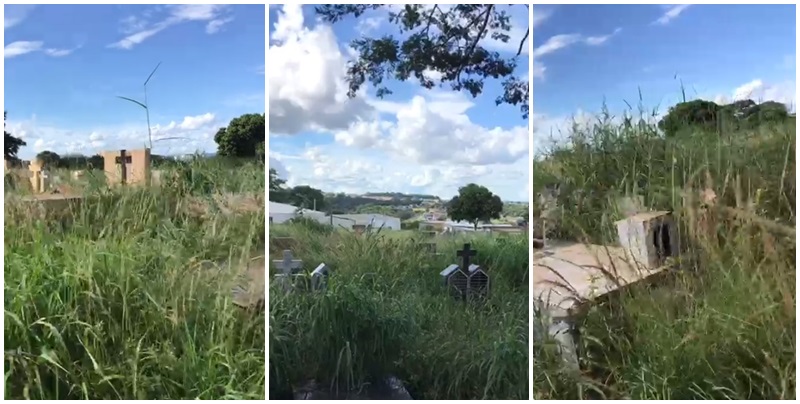 Mato alto toma conta do Cemitério Parque e goianienses precisam fazer a roçagem para chegar aos túmulos