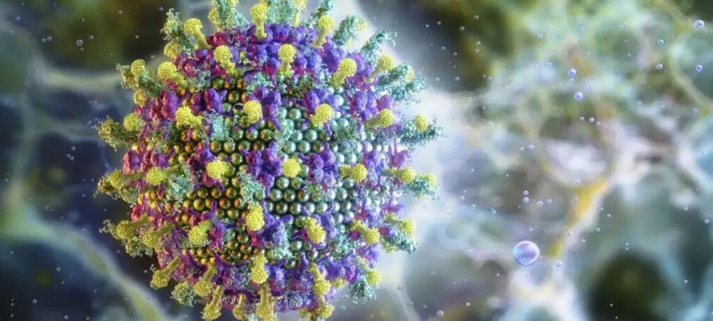 Vírus Nipah chegou ao Brasil? O carnaval é motivo de preocupação?