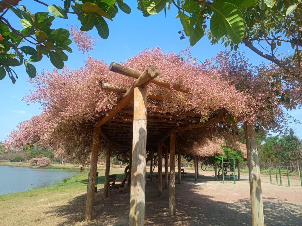 MotoGP Goiânia: conheça as curiosidades naturais dos parques que recebem o MotoFest neste domingo (22/3)