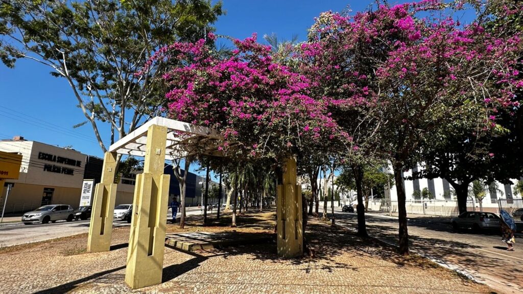 Entre o concreto e as flores, pergolados redesenham o Centro de Goiânia