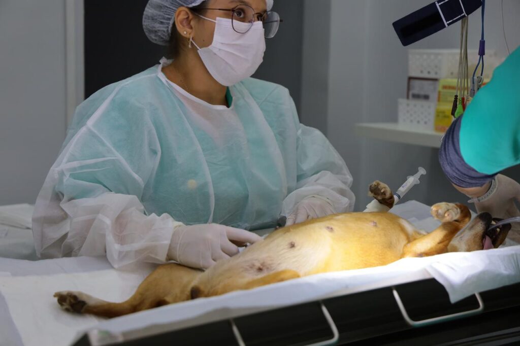 Agendamento agora tem procedimento único (Foto: Rodrigo Estrela)