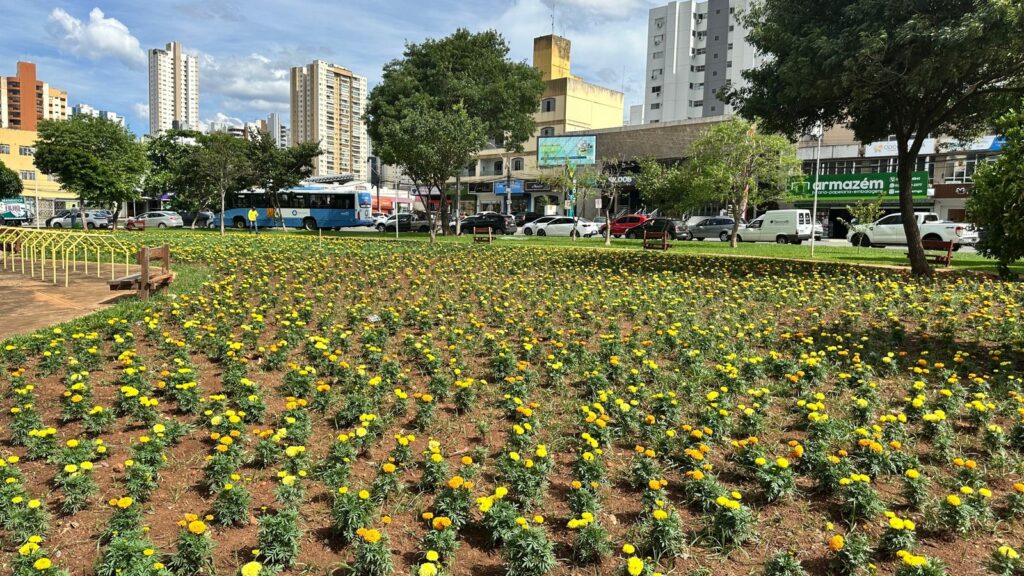 Comurg intensifica manutenção de praças em pontos turísticos de Goiânia (foto: Luciano Magalhães)
