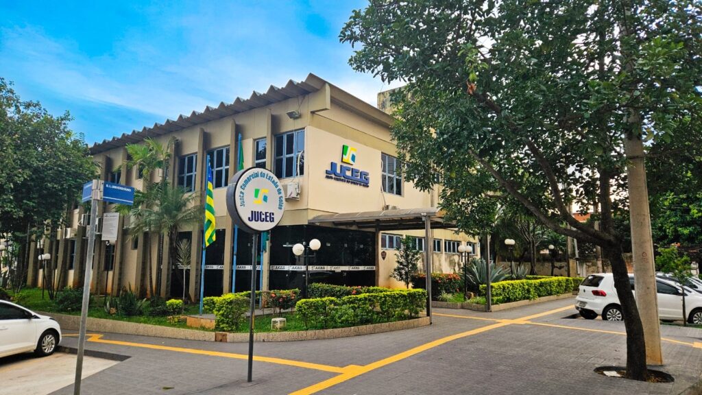 Mais de 15 mil mulheres abriram empresa este ano em Goiás (Foto: Juceg)