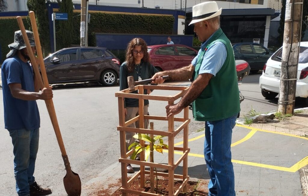 Programa Goiânia + Verde facilita plantio de árvores em calçadas