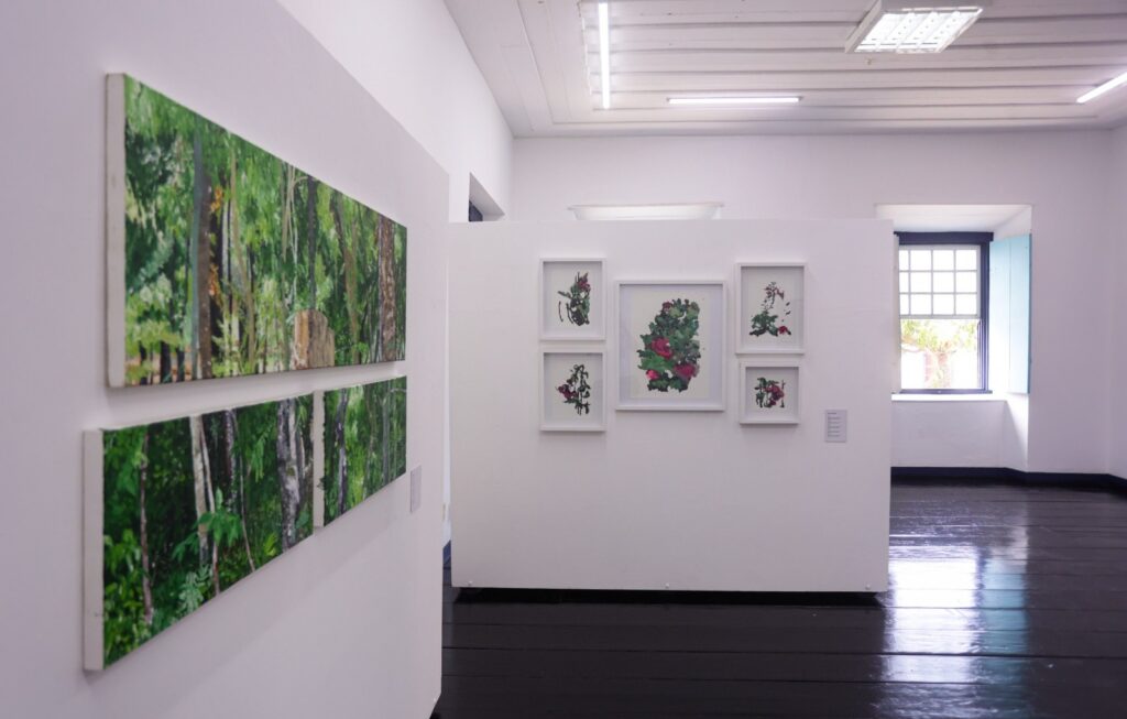 Governo de Goiás lança edital de artes visuais para o Fica 2026
