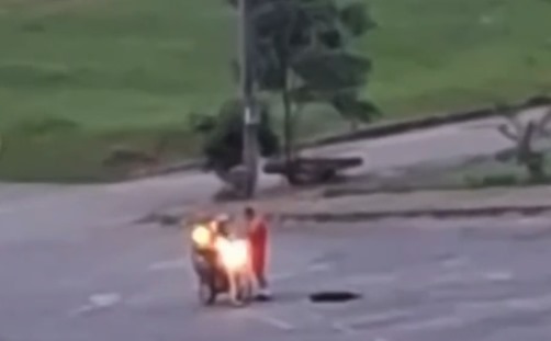 Caso de cachorro morto com um tiro por bombeiro em Goiânia gera comoção nas redes sociais