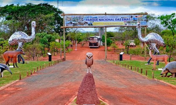 Bombeiros fazem operação para encontrar professora de biologia que desapareceu no Parque Nacional das Emas