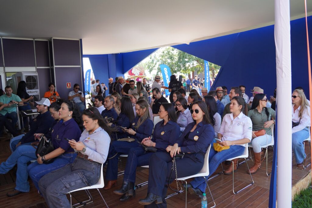 Cooperativas de crédito são caminho mais acessível para acessar recursos, afirmam especialistas